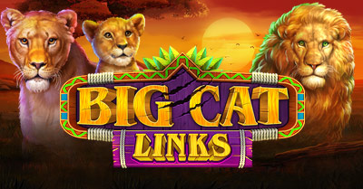 Big Cat Links