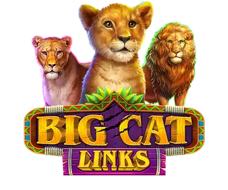 Big Cat Links